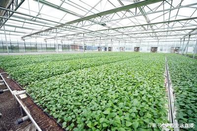 大荔農產品產地行 “從農田到餐桌”，品質看得見